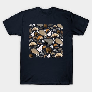 Eurasian badgers in blue T-Shirt